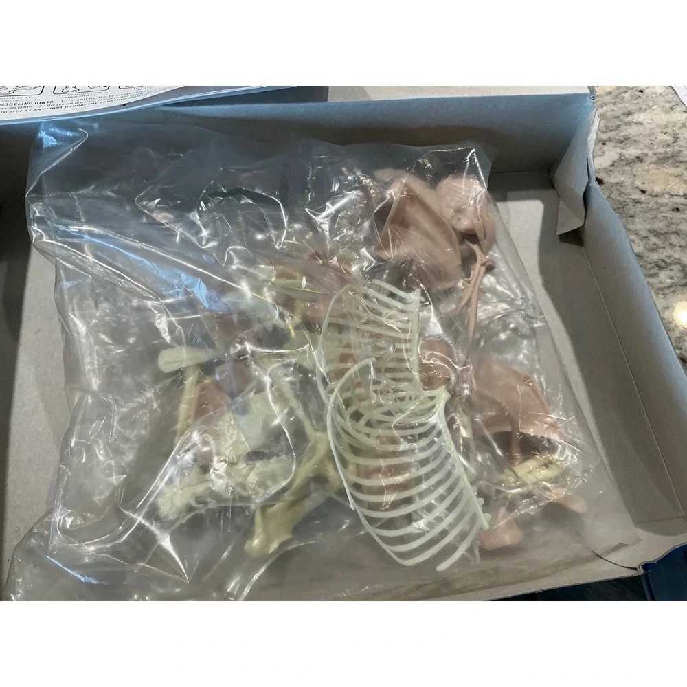 Skilcraft Vintage Visible Dog Anatomically Accurate Model Kit Science‎ Toy 9in